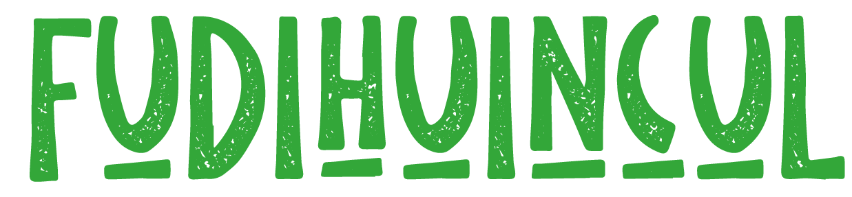 fudihuincul.cl